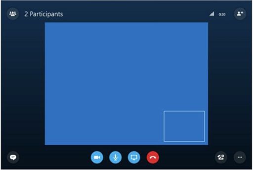 Skype issue on Big Sur