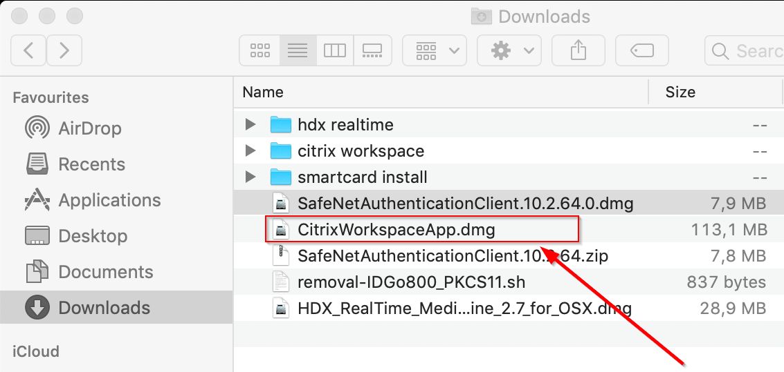 Citrix Workspace App for Mac installation